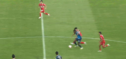 铜梁龙, ws, 边龙鼎