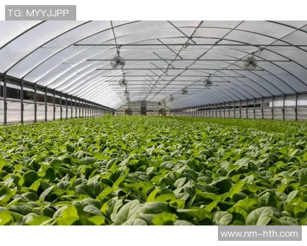 足球人才培养体系的创新与未来发展路径探讨